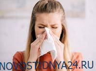Жители столицы начали страдать от сезонной аллергии - novostidnya24.ru