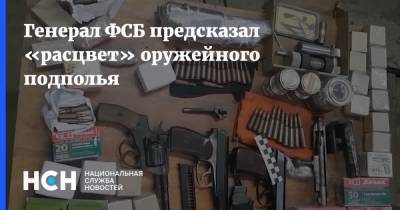 Александр Михайлов - Генерал ФСБ предсказал «расцвет» оружейного подполья - nsn.fm