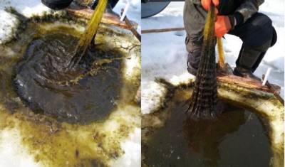 В Нарьян-Маре сфотографировали загрязнение воды в Печоре - newizv.ru - респ. Коми - Экология