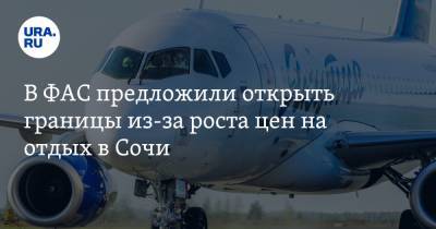 В ФАС предложили открыть границы из-за роста цен на отдых в Сочи - ura.news - Сочи