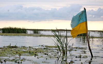 Андрей Головачев - Два сценария для Украины, один из которых – полное поражение страны - topcor.ru - Москва - Киев
