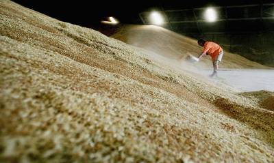 Украина экспортировала 37 млн тонн зерна - это существенно меньше, чем в прошлом году - capital.ua