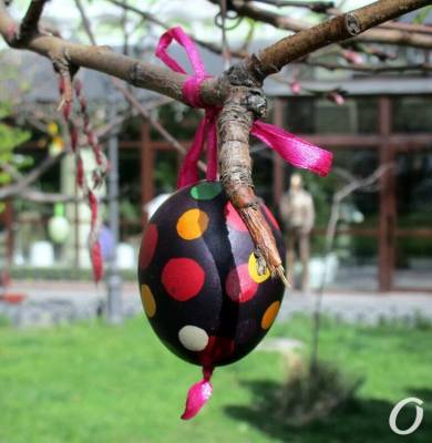 В одесском Горсаду расцветет писанками Пасхальное дерево (фото) - odessa-life.od.ua - Одесса