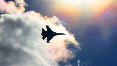 Калеб Ларсон - Аналитик NI раскрыл причину мирового успеха истребителя Су-27 - politros.com