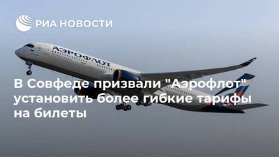 Инна Святенко - В Совфеде призвали "Аэрофлот" установить более гибкие тарифы на билеты - smartmoney.one - Симферополь