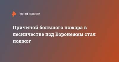Причиной большого пожара в лесничестве под Воронежем стал поджог - ren.tv - Воронеж - Воронежская обл.