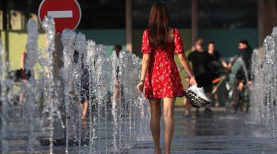 Петтери Таалас - Метеорологи: 2020-й год стал одним из трех самых жарких в истории - belta.by - Минск