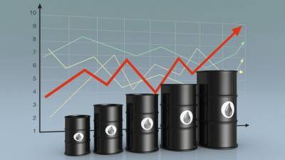 Эксперт оценил возможность подорожания нефти до 80 долларов за баррель - 5-tv.ru