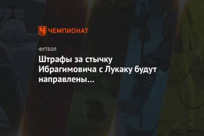 Штрафы за стычку Ибрагимовича с Лукаку будут направлены на благотворительность - championat.com