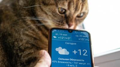 Станислав Косарев - Эксперт рассказал, в каких местах опасно пользоваться смартфоном - mir24.tv