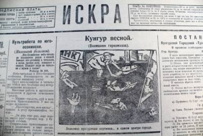 Какую малину разводить - советовала кунгурякам "Искра" в 1928 году - iskra-kungur.ru - Пермь