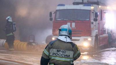 Один человек погиб при пожаре в Зеленограде - iz.ru - Москва - Зеленоград