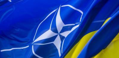 Роман Машовец - Украина официально просит НАТО ввести войска для защиты от России - politnavigator.net - Россия - Украина - Киев - Донбасс