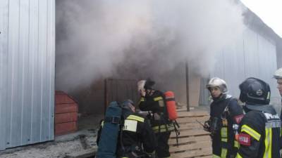 Прокуратура выясняет, как погибли рептилии на пожаре - newdaynews.ru - Екатеринбург - Свердловская обл.