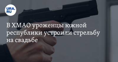 В ХМАО уроженцы южной республики устроили стрельбу на свадьбе. Видео - ura.news - Югра