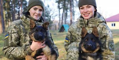 Какой сегодня праздник 2 апреля - поздравления с Днем кинолога, открытки и картинки, история праздника - ТЕЛЕГРАФ - telegraf.com.ua