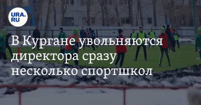 Александр Ковальчук - В Кургане увольняются директора сразу несколько спортшкол - ura.news