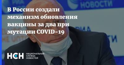Александр Гинцбург - В России создали механизм обновления вакцины за два при мутации COVID-19 - nsn.fm
