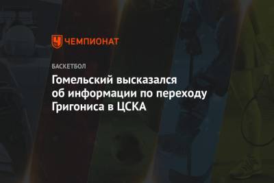 Владимир Гомельский - Гомельский высказался об информации по переходу Григониса в ЦСКА - championat.com - Москва