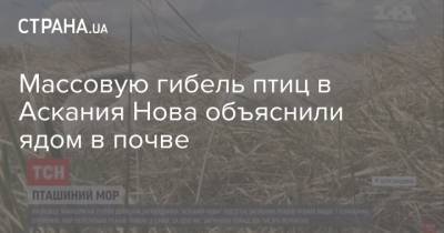 Массовую гибель птиц в Аскания Нова объяснили ядом в почве - strana.ua - Херсон - район Каховский