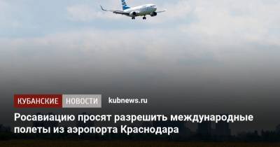 Илья Зотов - Росавиацию просят разрешить международные полеты из аэропорта Краснодара - kubnews.ru - Англия - Краснодарский край - Краснодар - Турция