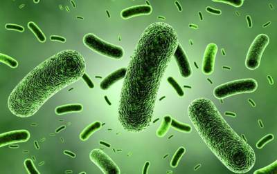 Ученые описали самую древнюю бактерию на Земле - korrespondent.net