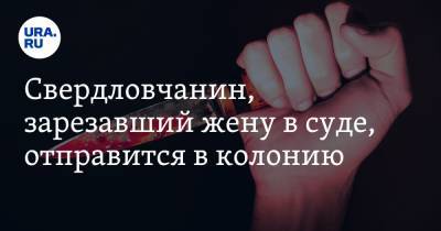 Вячеслав Попов - Свердловчанин, зарезавший жену в суде, отправится в колонию - ura.news - Свердловская обл. - Первоуральск