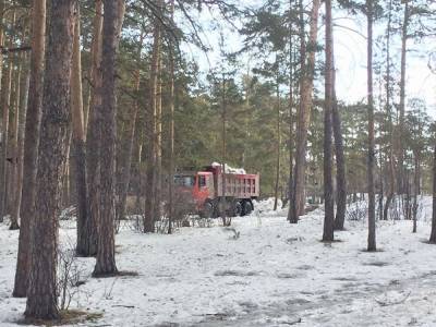 Виталий Безруков - Неизвестные продолжают возить снег с улиц Челябинска в городской бор - znak.com - Челябинская обл. - Челябинск
