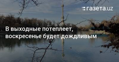 В выходные потеплеет, воскресенье будет дождливым - gazeta.uz - Узбекистан