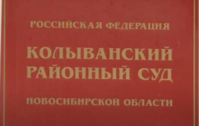 Сибирские энергетики подали в суд на шестилетнюю девочку за долги умершей матери - readovka.news - Новосибирская обл.