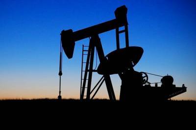 Анатолий Несмиян - Нефтегазовая отрасль перестает быть опорой для экономики РФ после пандемии — Несмиян - infox.ru