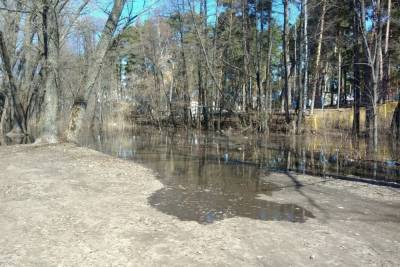 В Тамбове вода в Цне может выйти из берегов - tambov.mk.ru - Тамбов