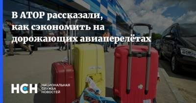 Дмитрий Горин - В АТОР рассказали, как сэкономить на дорожающих авиаперелётах - nsn.fm
