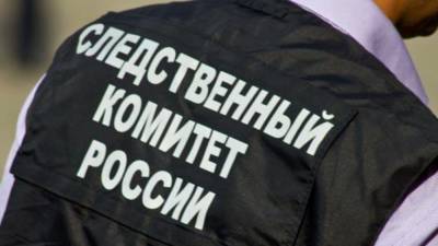 Отец утонувшей в Приморье семьи 20 дней прятался от спецслужб - newinform.com - Приморье край