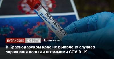 В Краснодарском крае не выявлено случаев заражения новыми штаммами COVID-19 - kubnews.ru - Англия - Краснодарский край - Ирландия