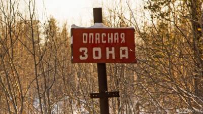 Челябинский городской бор продолжают заваливать снегом с химикатами - newdaynews.ru - Челябинск