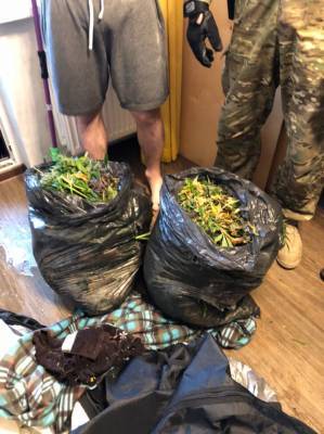 Во Всеволожском районе в квартире двух братьев нашли наркоплантацию — фото - ivbg.ru - Ленинградская обл. - Петербурга - р-н Всеволожский