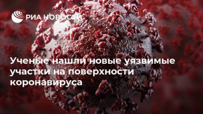 Максим Планк - Ученые нашли новые уязвимые участки на поверхности коронавируса - ria.ru - Москва - Германия