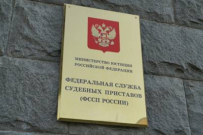 Судебным приставам хотят упростить получение данных о смерти должника - pnp.ru