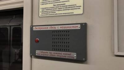 Владимир Путин - Андрей Бокарев - Фонд национального благосостояния может оплатить вагоны для петербургского метро - delovoe.tv - Санкт-Петербург - Санкт-Петербург