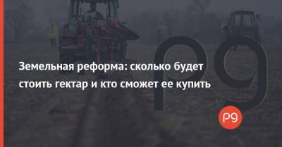 Земельная реформа: сколько будет стоить гектар и кто сможет ее купить - thepage.ua - Украина - Кировоградская обл.