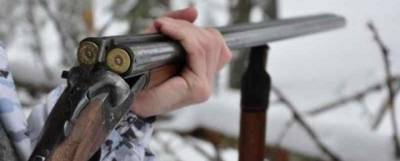 Жителя Карелии будут судить за незаконное убийство лося - runews24.ru - район Пряжинский - республика Карелия
