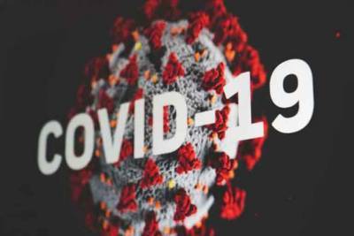 В Украине разразилась COVID-катастрофа: «Незалежная» бьет новые антирекорды - free-news.su