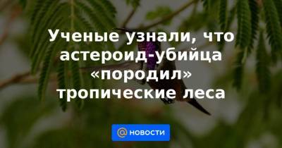 Ученые узнали, что астероид-убийца «породил» тропические леса - news.mail.ru - Панама