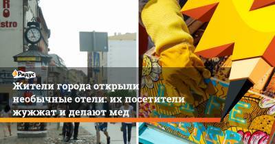 Жители города открыли необычные отели: их посетители жужжат и делают мед - ridus.ru - Познань