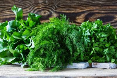 Эксперты рассказали как получить урожай весенней зелени уже к началу мая - kostroma.mk.ru