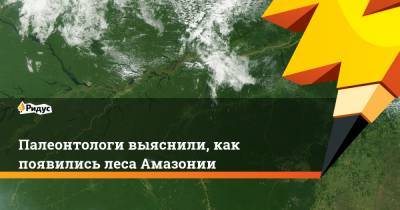 Палеонтологи выяснили, как появились леса Амазонии - ridus.ru - Мексика
