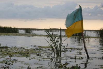 Николай Азаров - Экс-премьер Украины назвал условие для большой войны в Донбассе - mk.ru - Москва - Киев - ДНР - ЛНР