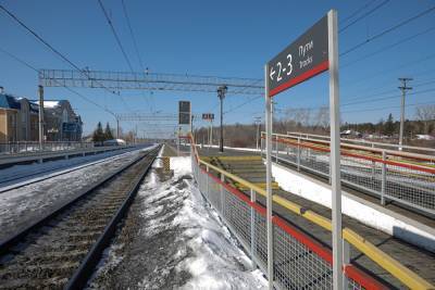 В Ленобласти скорая не хотела забирать с ж/д станции падающего в обморок мужчину - znak.com - Ленинградская обл.