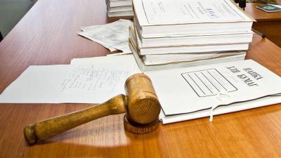 Суд освободил шестилетнюю девочку от выплаты долгов умершей матери - iz.ru - Новосибирск - Новосибирская обл.